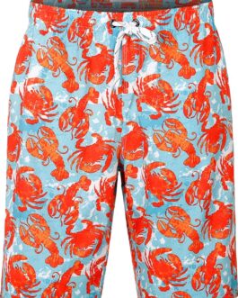 APTRO Men’s Swim Trunks 9  Quick Dry Bathing Suit Big and Tall Beach Swimsuits