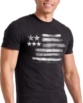 Hanes Men s Short Sleeve Graphic T-shirt Collection