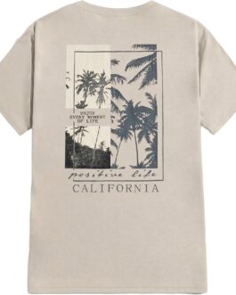 SOLY HUX Men’s Graphic Tees Letter Print Short Sleeve T Shirts Summer Casual Tee Top Tropical Beige S