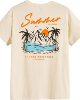 SOLY HUX Men’s Graphic Tees Letter Print Short Sleeve T Shirts Summer Casual Tee Top